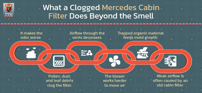 What a Clogged Mercedes Cabin Filter Does Beyond the Smell